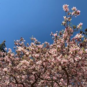 Meet your Posher, Mia